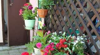 Гостиница Guest house on Ulianovskaya Геленджик Трехместный номер "Комфорт" с душем-14