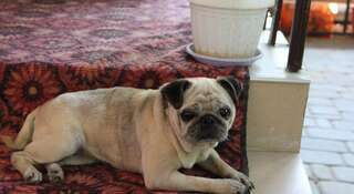 Гостиница Guest house on Ulianovskaya Геленджик Трехместный номер "Комфорт" с душем-4